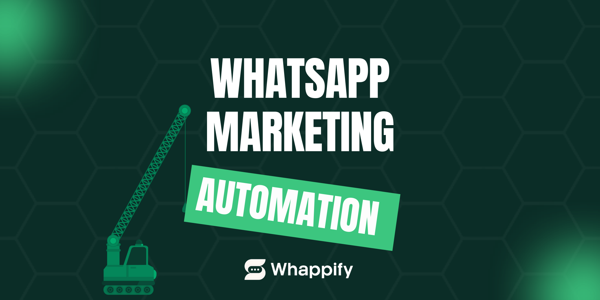 WhatsApp Marketing Automation